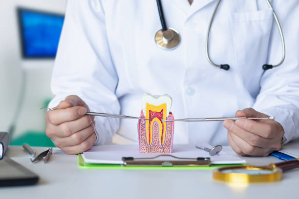 Best Emergency Pediatric Dental Care in Raintree Plantation, MO